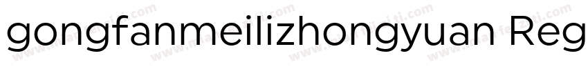 gongfanmeilizhongyuan Regular字体转换